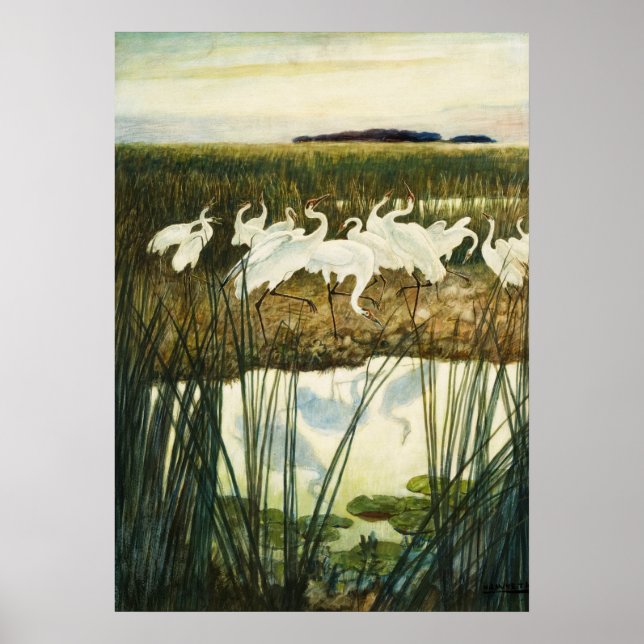 Dance of the Whooping Cranes by N. C. Wyeth Poster (Front)