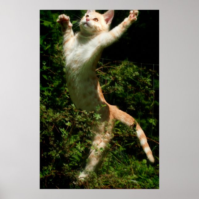 Dance Poster (Front)