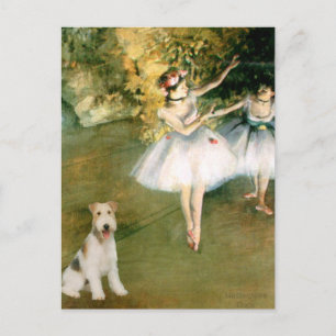 Dancer - Wire Fox Terrier #1 Postcard
