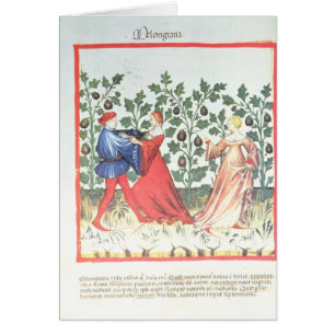 Dancers in front of Broom Plants, 13th century
