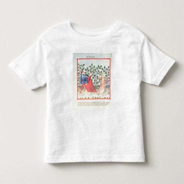 Dancers in front of Broom Plants, 13th century Toddler T-Shirt (Front)