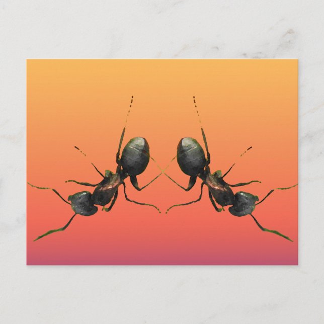 Dancing Ants Postcard (Front)