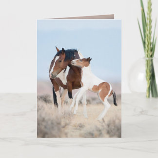 Dancing at Dawn Wild Horse Greeting Card