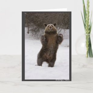 Dancing Bear Card