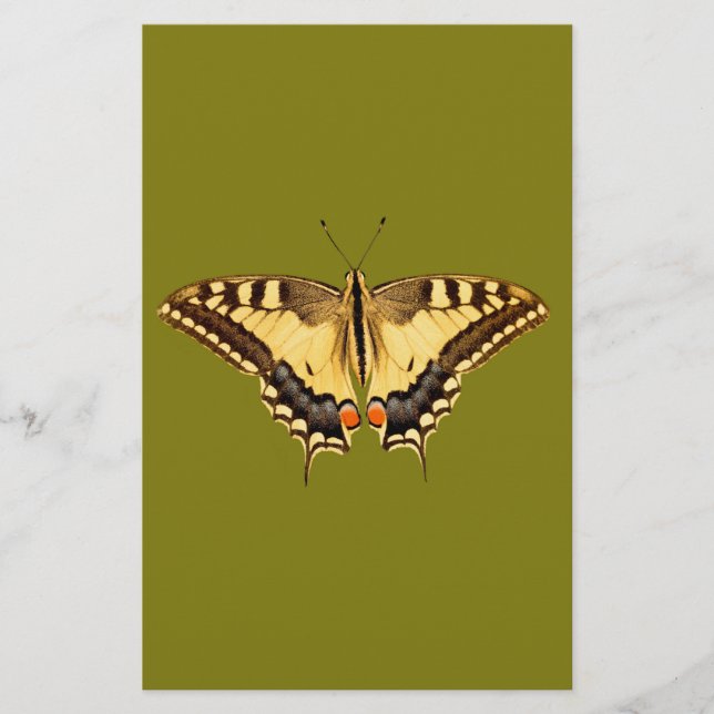 Dancing Butterfly (Front)