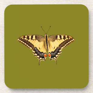 Dancing Butterfly Coaster