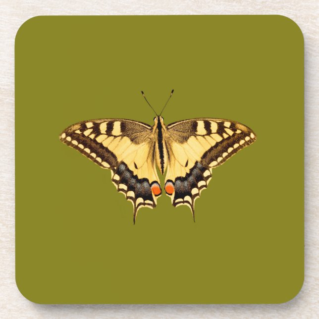Dancing Butterfly Coaster (Front)