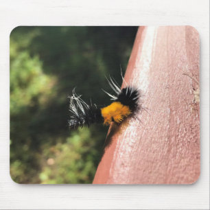 Dancing Caterpillar Mouse Pad