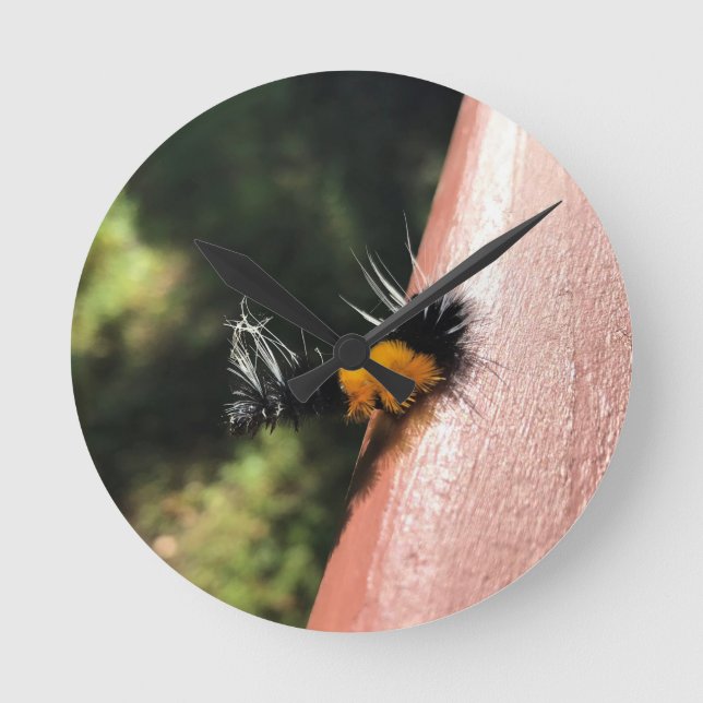 Dancing Caterpillar Round Clock (Front)