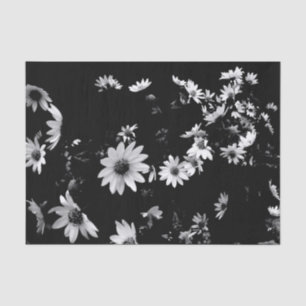 'Dancing Daisies' Tissue Paper