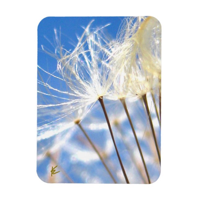 Dancing Dandelion Poof, Happy, Joyful, Nature Magnet (Vertical)