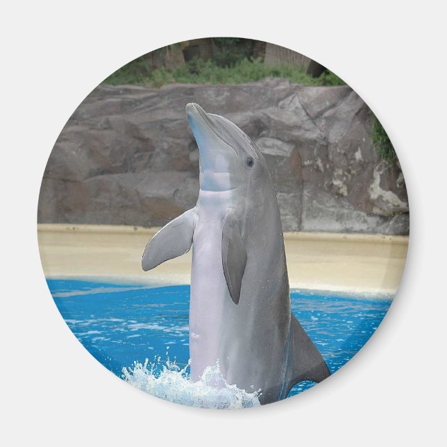 Dancing Dolphin Magnet (Front)