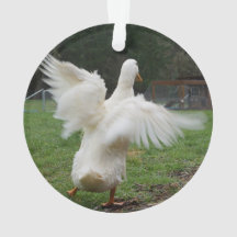 Dancing Duck