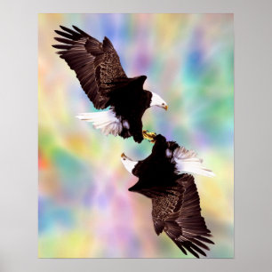 Dancing eagles poster