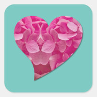 Dancing Heart Pink Hydrangea Flower on Teal Blue