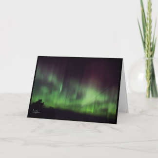 Dancing Lights Over Quiet Trees Blank Card