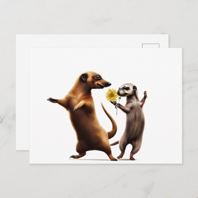 Dancing Meerkats Postcard (Front/Back)