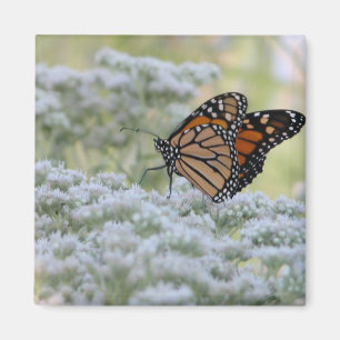 Dancing on flowers magnet