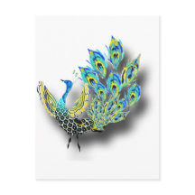Dancing Peacock