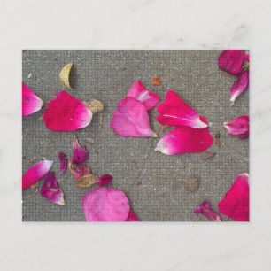 Dancing Petals IV Postcard