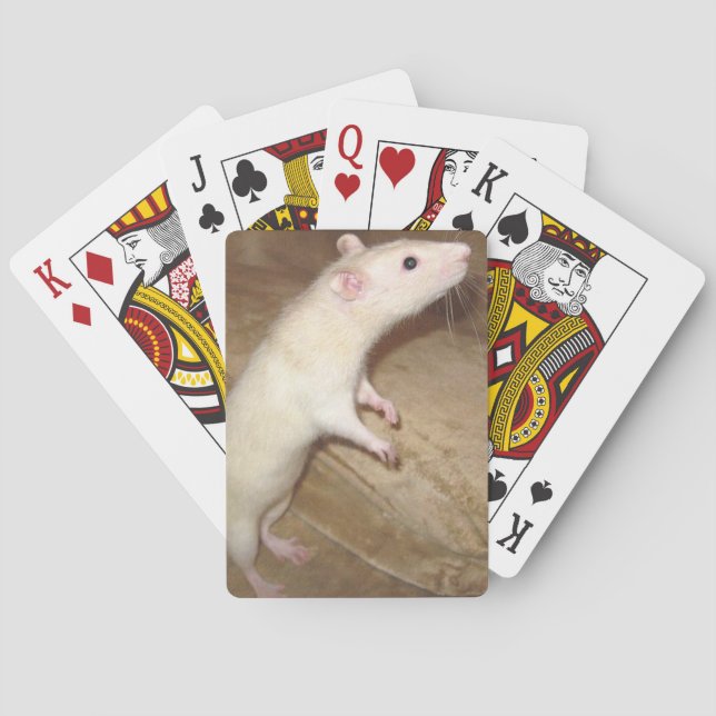 DANCING RAT PLAYING CARDS (Back)