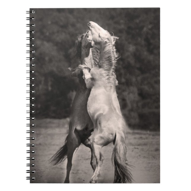 Dancing Stallions Notebook (Front)