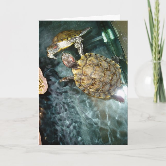 “Dancing Turtles” Thank You Card (Front)