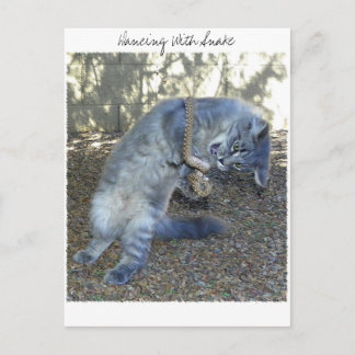 Dancing With Snake Postcard