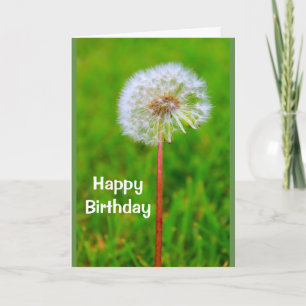 Dande Birthday I'm Not Lion Card