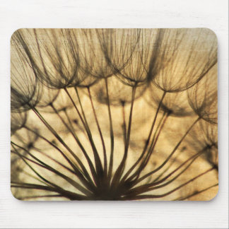 Dandeilons Mouse Pad