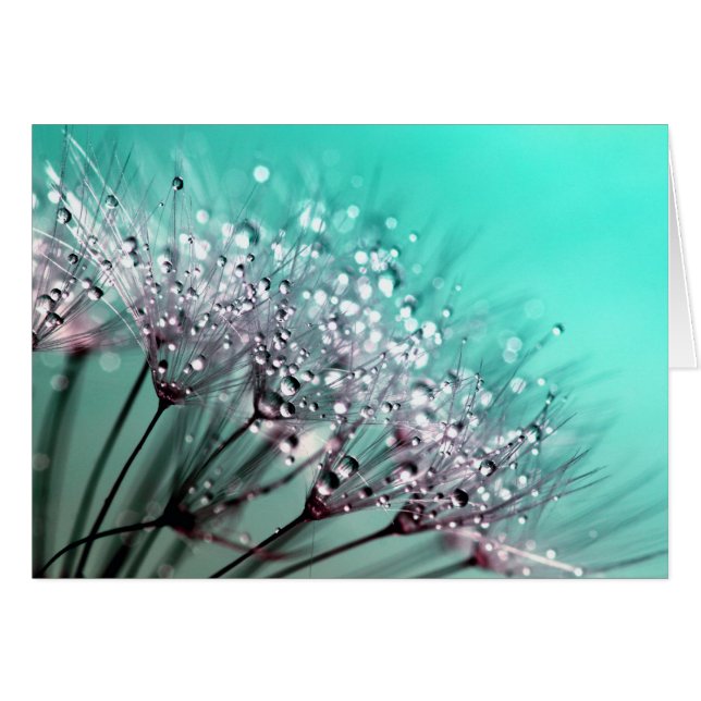 Dandelion (Front Horizontal)