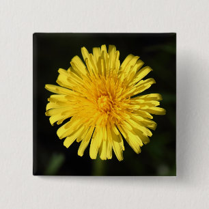 Dandelion 15 Cm Square Badge