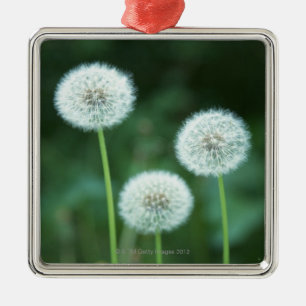 Dandelion 2 metal tree decoration