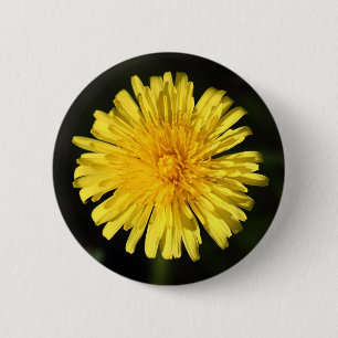 Dandelion 6 Cm Round Badge