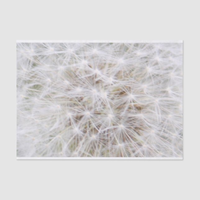 Dandelion 9668 tissue paper (Front)