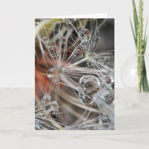Dandelion Abstract Card