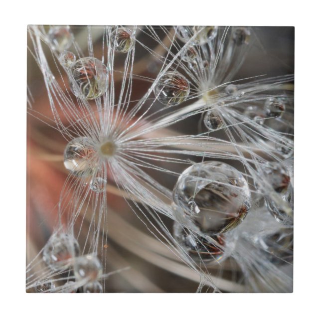 Dandelion Abstract Ceramic Tile (Front)