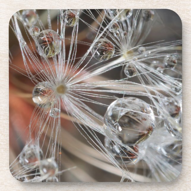 Dandelion Abstract Coaster (Front)
