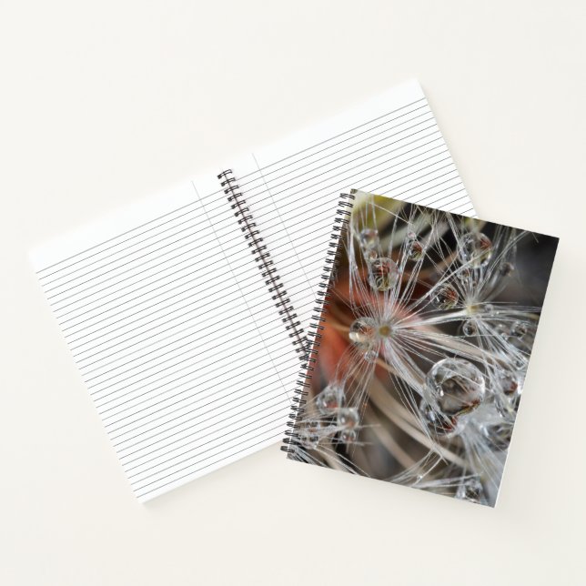 Dandelion Abstract Notebook (Inside)