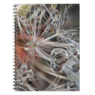 Dandelion Abstract Notebook