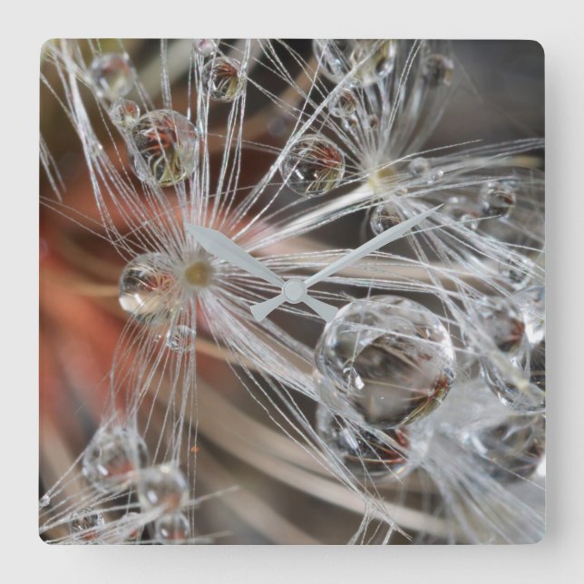 Dandelion Abstract Square Wall Clock (Front)