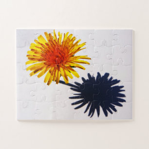 Dandelion and Shadow 11x14 30pc jpcna Jigsaw Puzzle