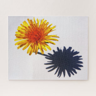 Dandelion and Shadow 16x20 520pc jpcna Jigsaw Puzzle