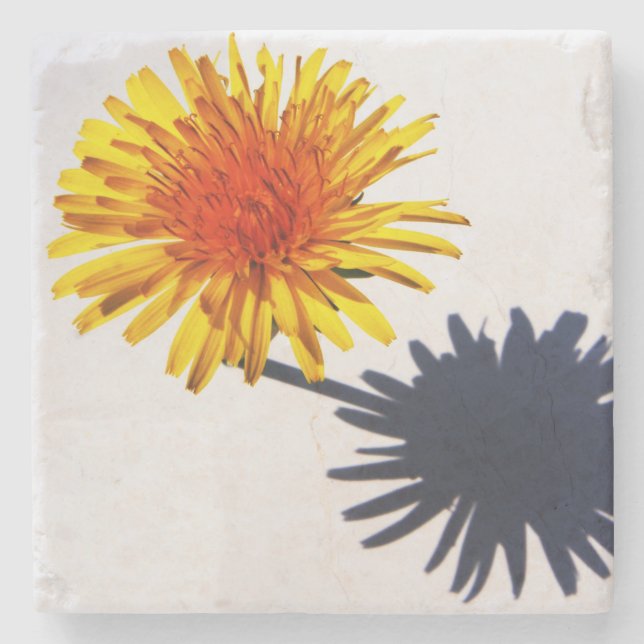 Dandelion and Shadow coastercna Stone Coaster (Front)