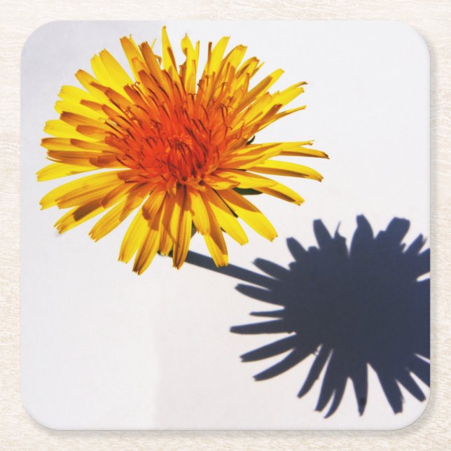 Dandelion and Shadow coastercnm Square Paper Coaster (Front)