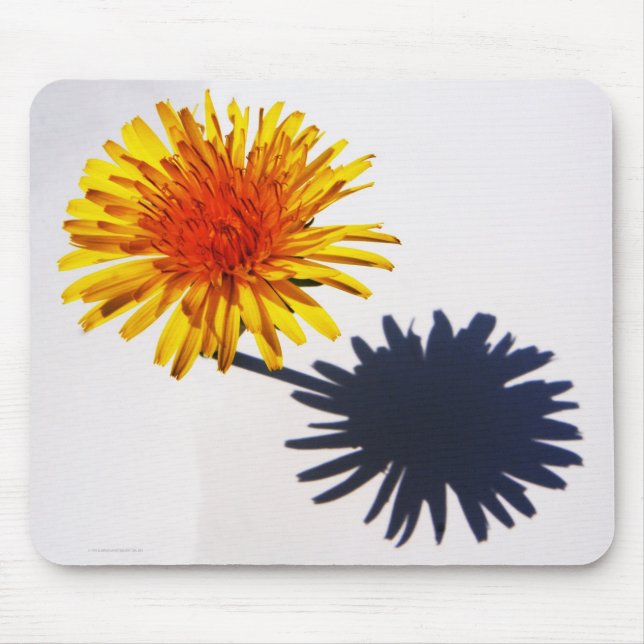Dandelion and Shadow mpcna Mouse Pad (Front)