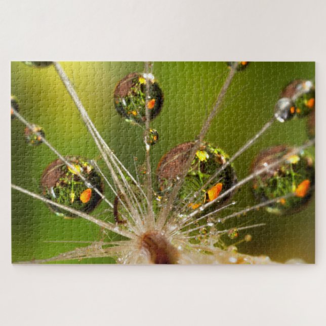 Dandelion And Water Droplets Jigsaw Puzzle (Horizontal)