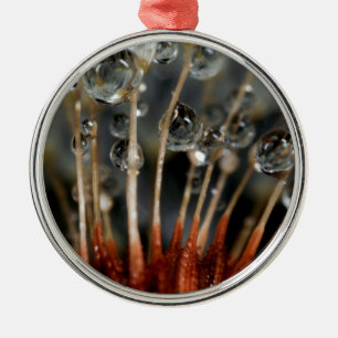 Dandelion and water drops, CA Metal Tree Decoration