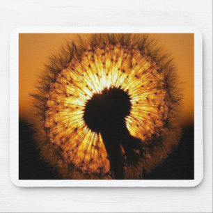 Dandelion at Sunset Mouse Pad