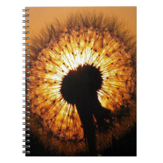 Dandelion at Sunset Notebook